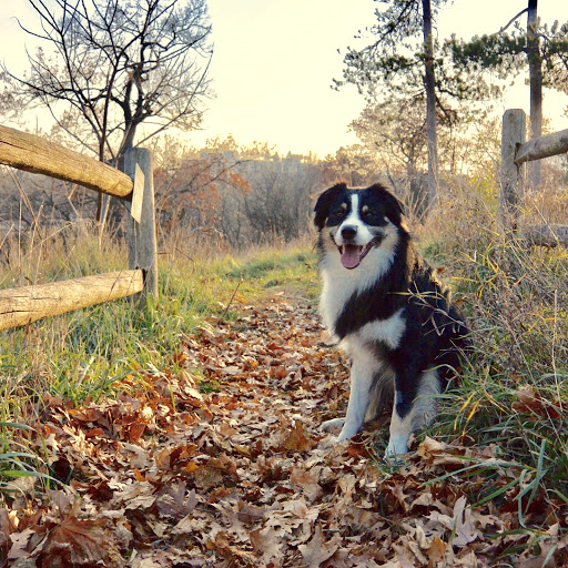 Cindy Carroll Photo 16