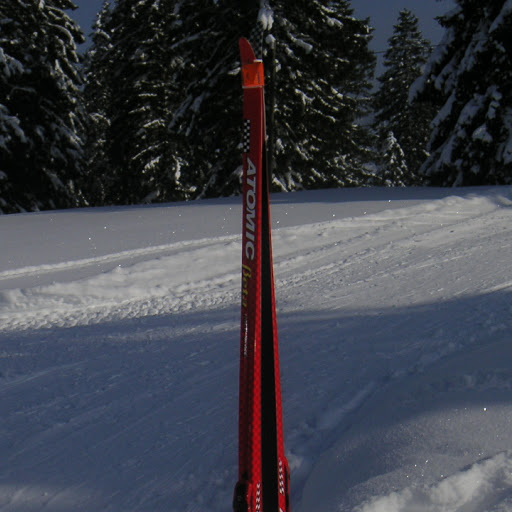 Robert Michalak Photo 15