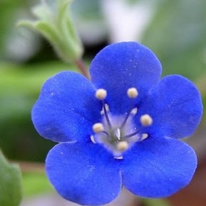 Julia Malcolm Photo 9