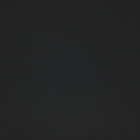 Joseph Voss Photo 17