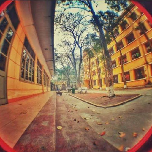 Chinh Do Photo 13