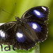 Anne Cairns Photo 36