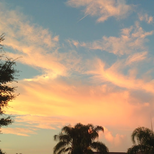 Wendy Boyd Photo 20