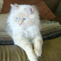 Debbie Rasmussen Photo 25