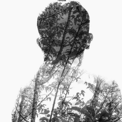 Stephen Forster Photo 17