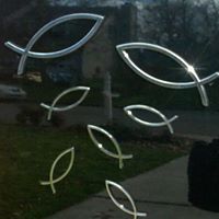 Michele Lacey Photo 27