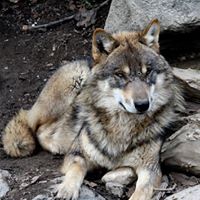 Shawn Mcdaniels Photo 5