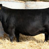 Gene Schaefer Photo 11