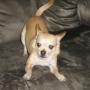 Thomas Cardwell Photo 29