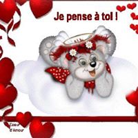 Steven Rodrigue Photo 11