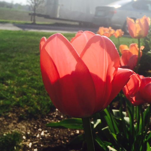 Jackie Harvey Photo 37