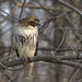 Larry Hawks Photo 31