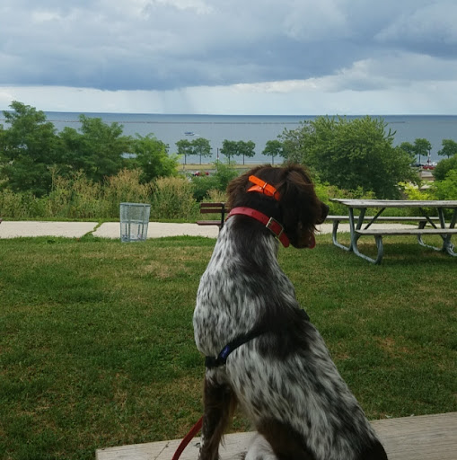 Joseph Krause Photo 23