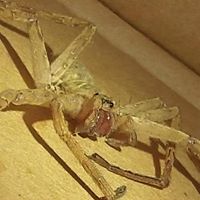 Roberto Morales Photo 47 Roberto Morales Photo 47