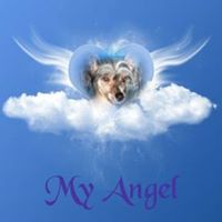 Gail Armstrong Photo 26