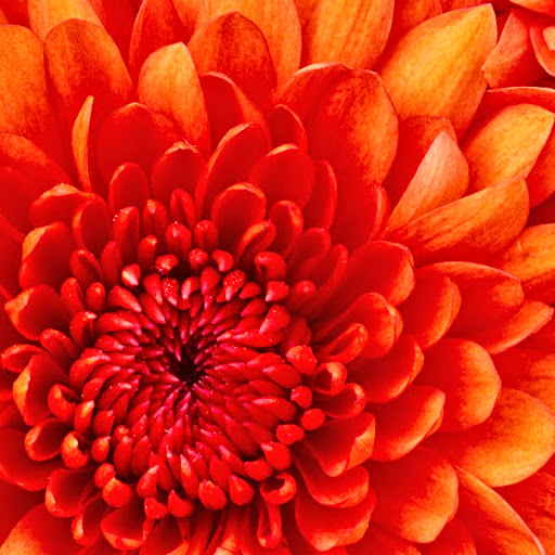 Amber Ferguson Photo 12