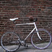 Brandon Fix Photo 15