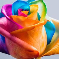 John Haight Photo 11