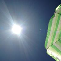 Janet Schulz Photo 17