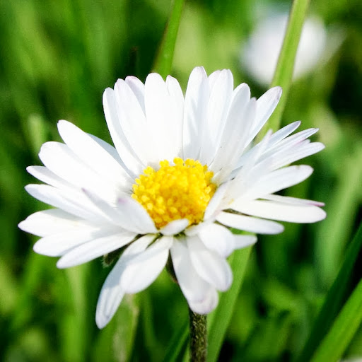 Cindy Abraham Photo 16