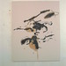 Andrea Eckert Photo 13