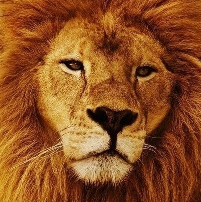 Tamara Braun Photo 15