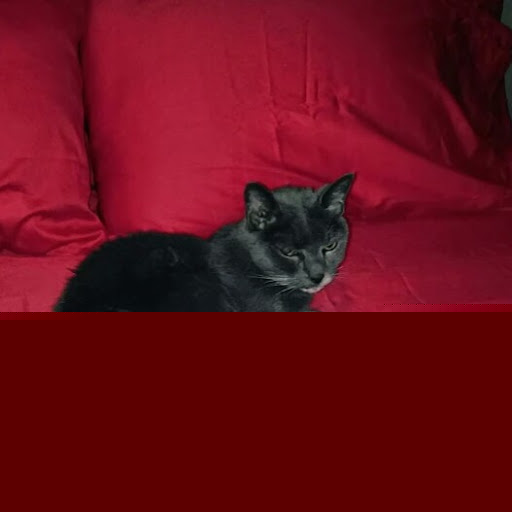 Eric Jennings Photo 40