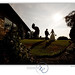 Amy Brooks Photo 20
