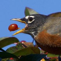 Shirley Welsh Photo 30