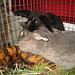 Wanda Parker Photo 11