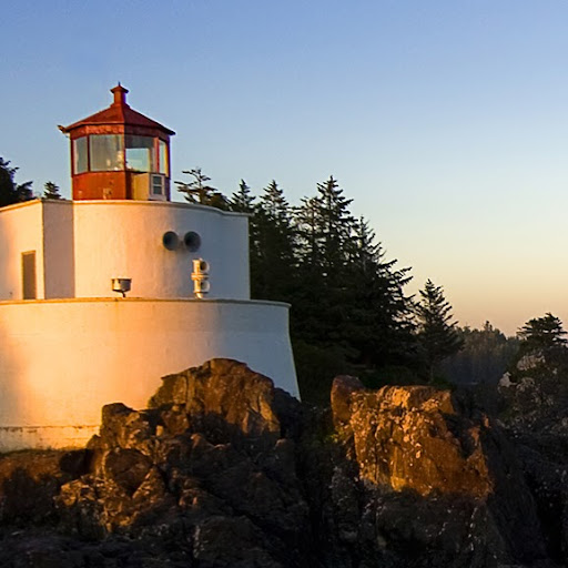 Linda Dougherty Photo 31