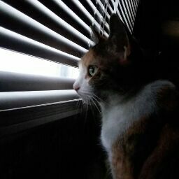 Megan Clemens Photo 11