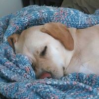 Judy Morrison Photo 33