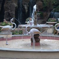 Virginia Campbell Photo 21