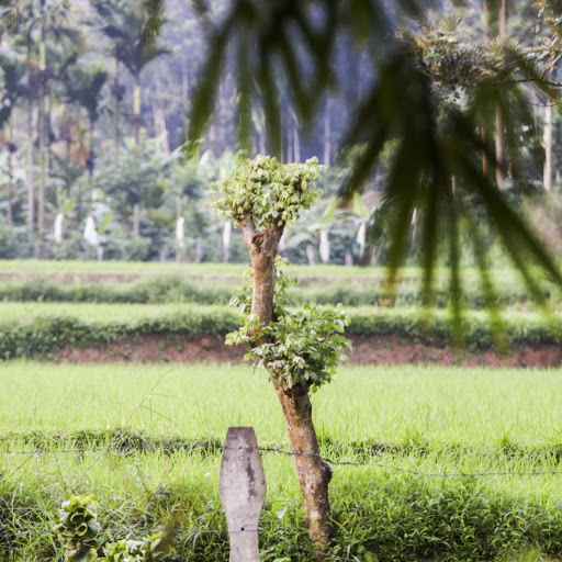 Anne Abraham Photo 12