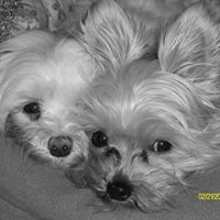 Christine Priester Photo 2