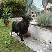 Christine Gatti Photo 13