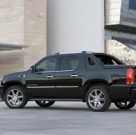 Elizabeth Mccarthy Photo 23