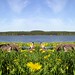 Bob Wiese Photo 32