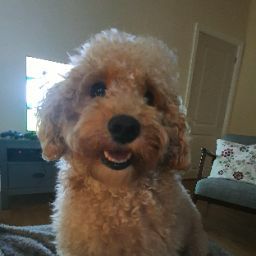 Stephen Groves Photo 33