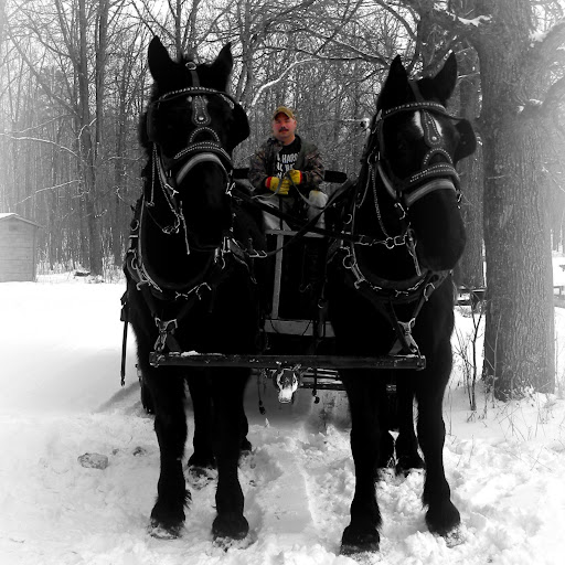 Rhonda Adkins Photo 7