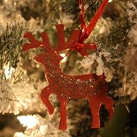 Cindy Hendrix Photo 20