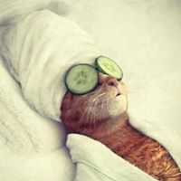 Rudy Jenkins Photo 26