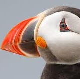 Neil Fleming Photo 25 Neil Fleming Photo 25