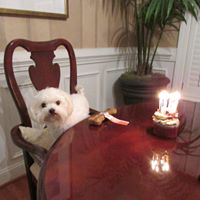 Theresa Yu Photo 15