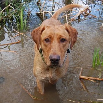 Debbie Christy Photo 17