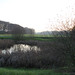 Mark Teich Photo 11
