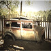 Susan Tuttle Photo 43