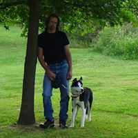 Tracy Boggs Photo 7