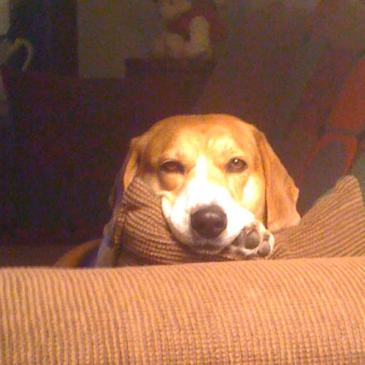 Kathy Clarke Photo 20